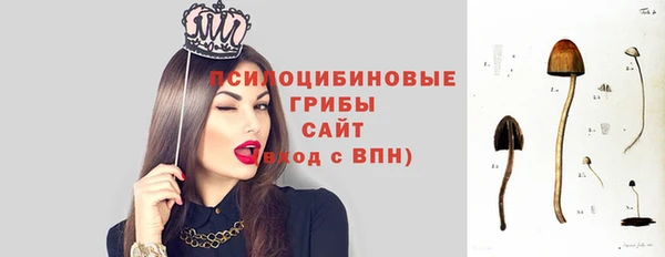 mdma Елизово