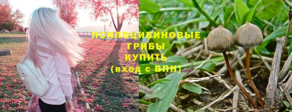 гашик Семёнов