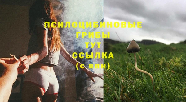 соль курить ск Ельня