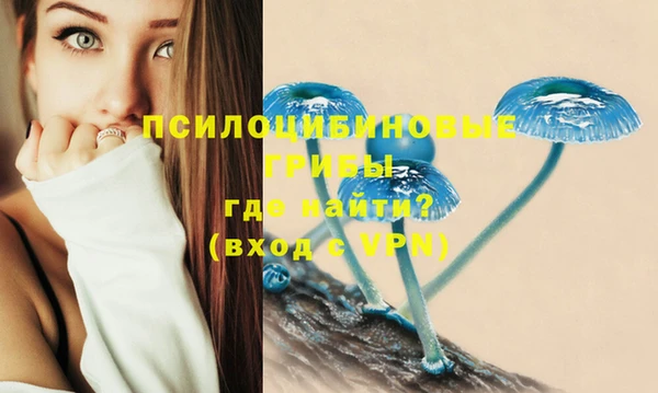 гидра Дмитриев