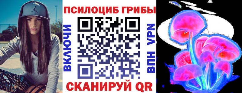 Псилоцибиновые грибы MAGIC MUSHROOMS  закладки  Камызяк 